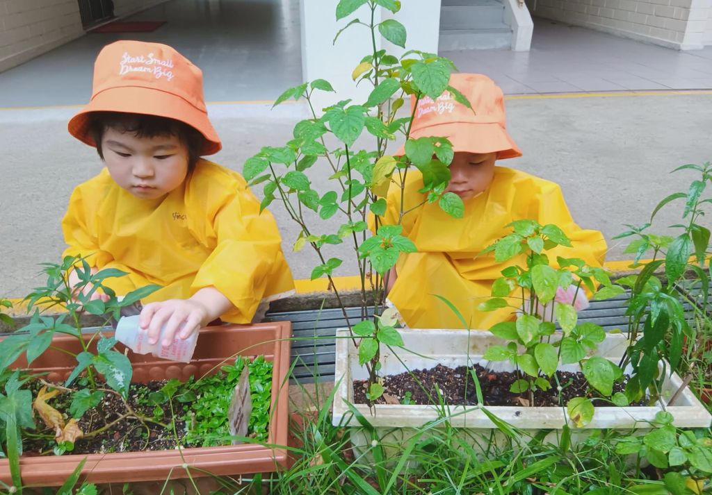 Sow and Grow Bloomers — photo 3
