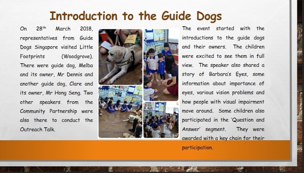 Kindness is the language which the deaf can hear and the blind can see! Man's best friend🐶 just got better! — photo 2