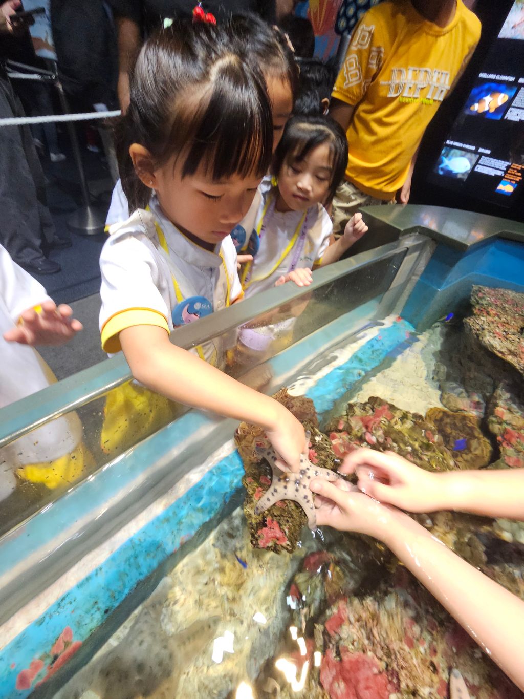 SSDB 2024: WEST ROCK THINKS BLUE, GOES GREEN! - Guided tour @ Resort World Sentosa, Sea Aquarium — photo 3