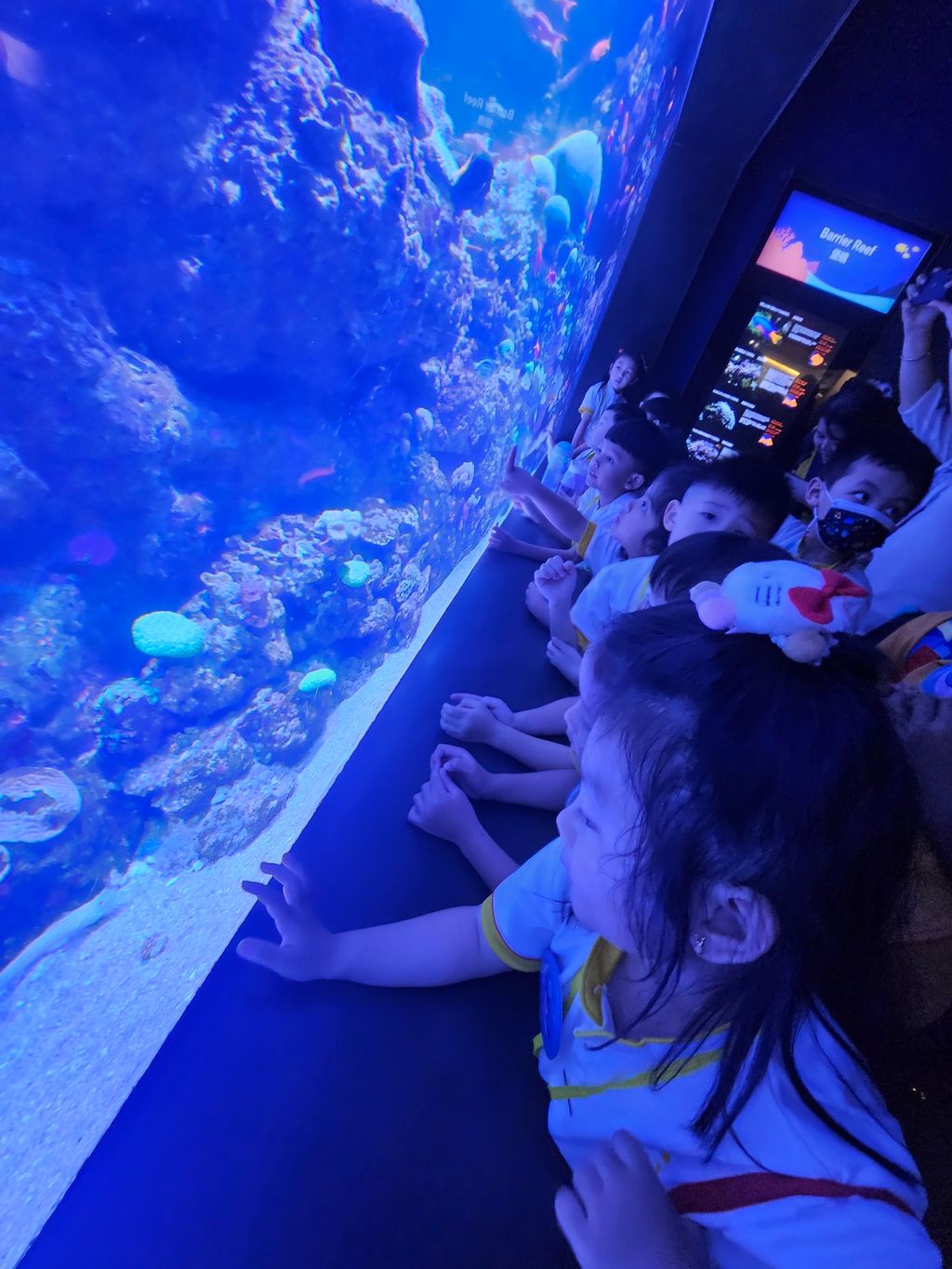 SSDB 2024: WEST ROCK THINKS BLUE, GOES GREEN! - Guided tour @ Resort World Sentosa, Sea Aquarium — photo 4