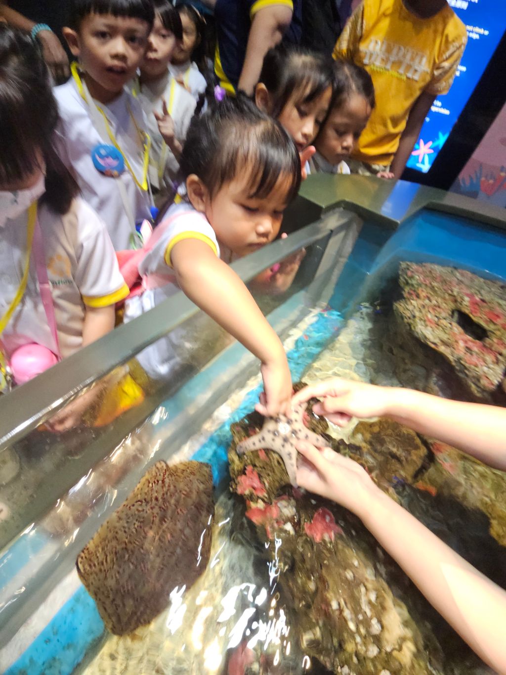 SSDB 2024: WEST ROCK THINKS BLUE, GOES GREEN! - Guided tour @ Resort World Sentosa, Sea Aquarium — photo 5
