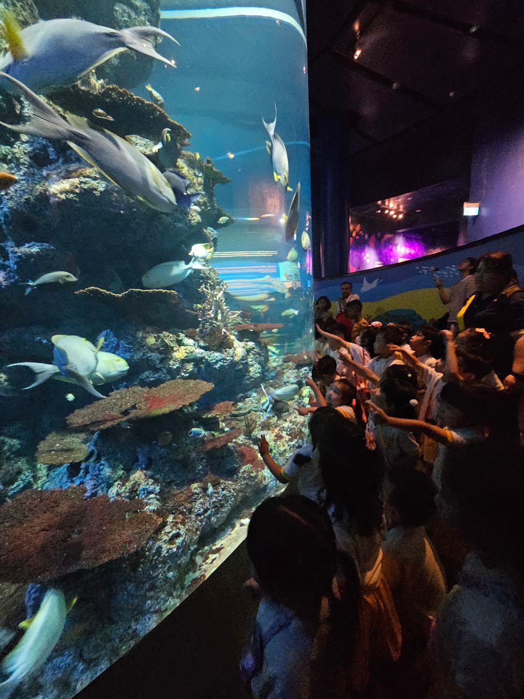 SSDB 2024: WEST ROCK THINKS BLUE, GOES GREEN! - Guided tour @ Resort World Sentosa, Sea Aquarium — photo 6