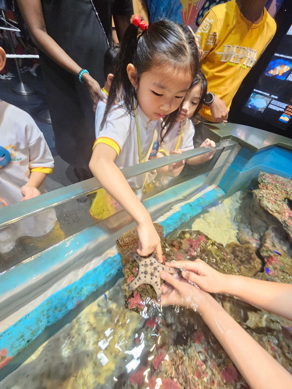 SSDB 2024: WEST ROCK THINKS BLUE, GOES GREEN! - Guided tour @ Resort World Sentosa, Sea Aquarium — photo 7