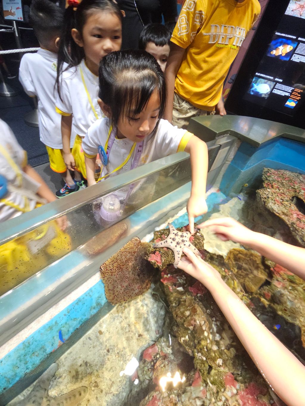 SSDB 2024: WEST ROCK THINKS BLUE, GOES GREEN! - Guided tour @ Resort World Sentosa, Sea Aquarium — photo 8