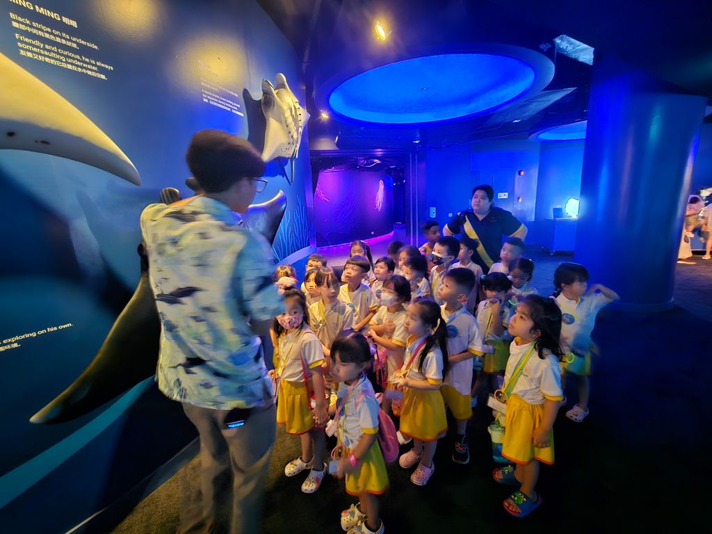 SSDB 2024: WEST ROCK THINKS BLUE, GOES GREEN! - Guided tour @ Resort World Sentosa, Sea Aquarium — photo 9