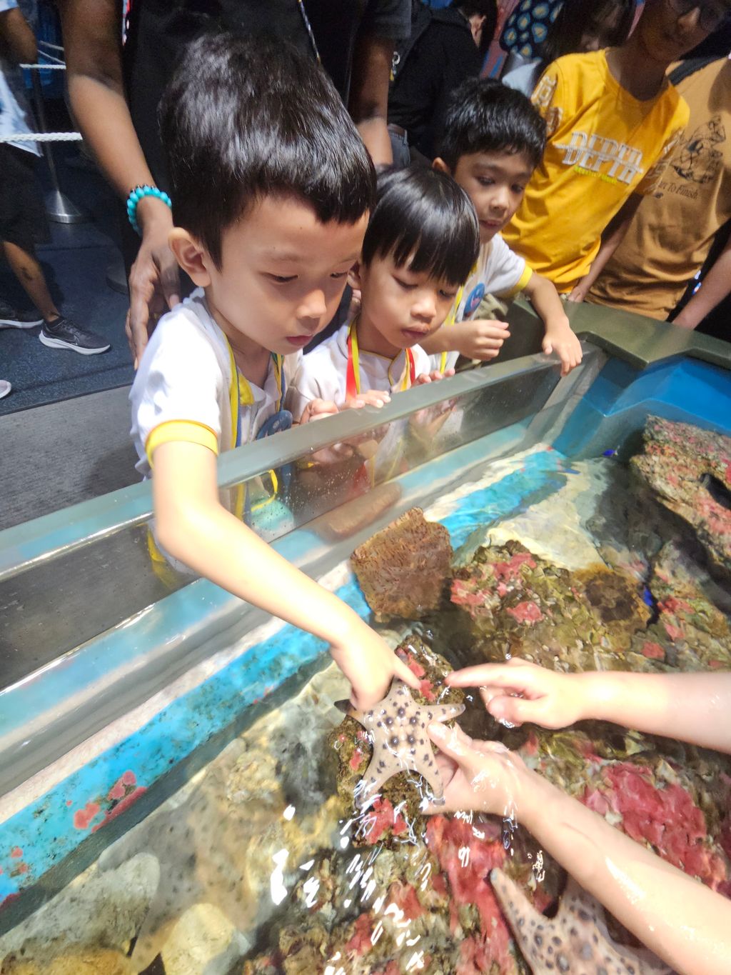 SSDB 2024: WEST ROCK THINKS BLUE, GOES GREEN! - Guided tour @ Resort World Sentosa, Sea Aquarium — photo 10