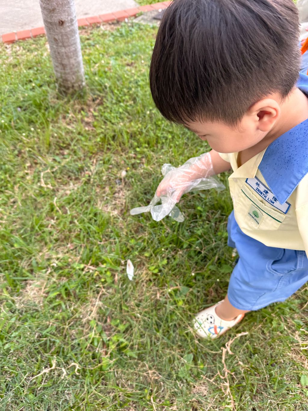 Growing Through Kindness — photo 14