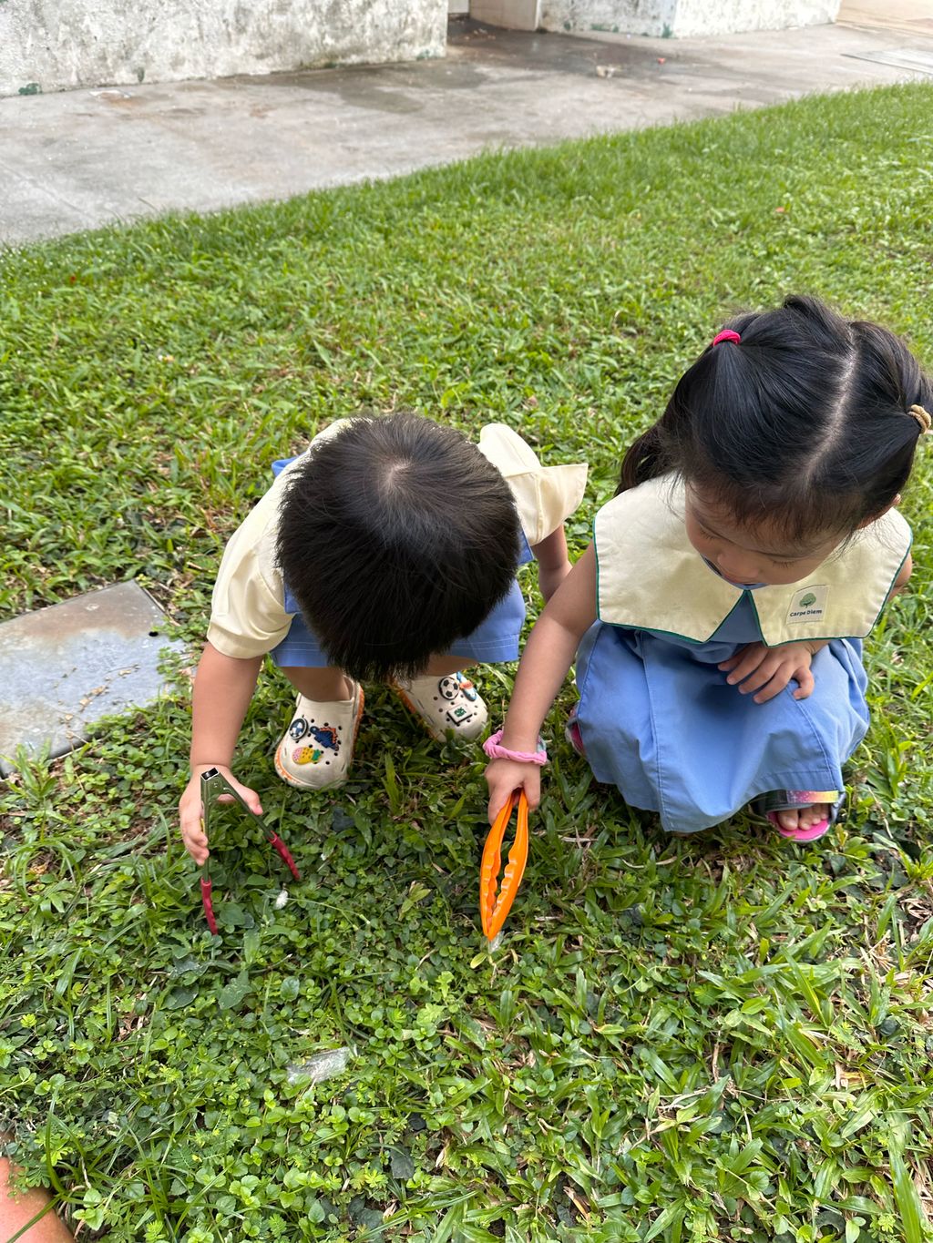 Growing Through Kindness — photo 16