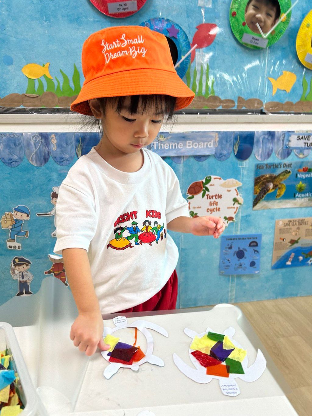 SSDB: Shell Squad - Save the Sea Turtles — photo 4