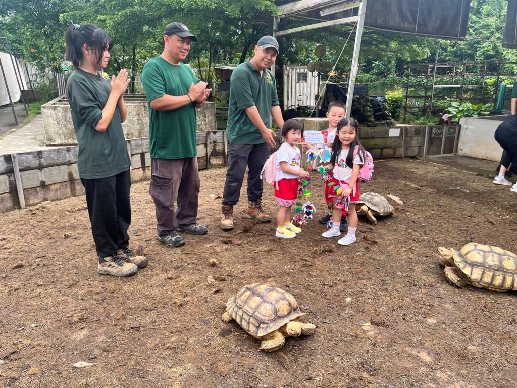 SSDB: Shell Squad - Save the Sea Turtles — photo 3