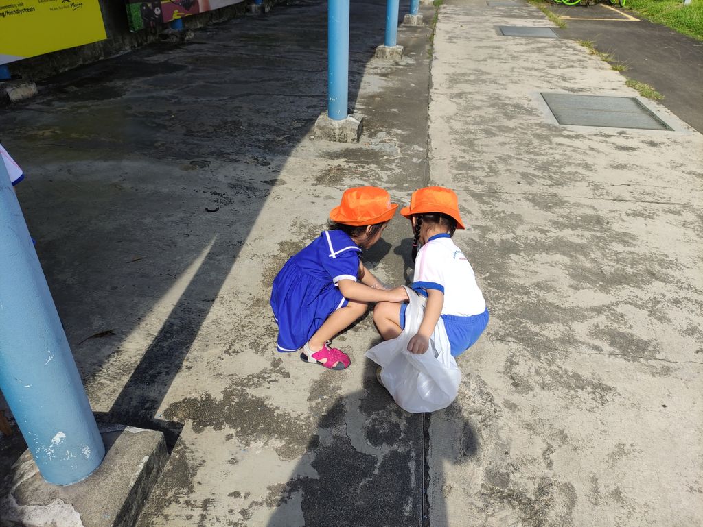 Caring for our environment — photo 2