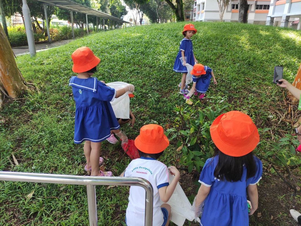 Caring for our environment — photo 8