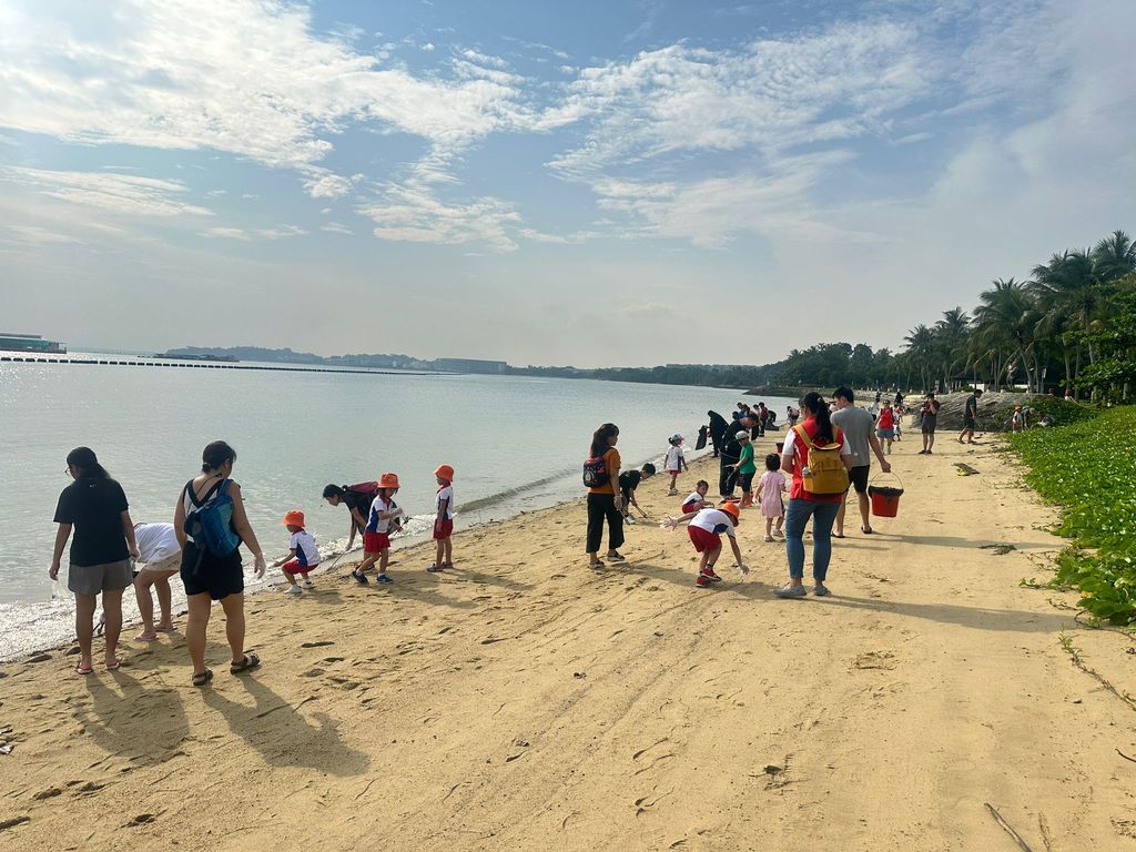 Beach Cleanjng Day