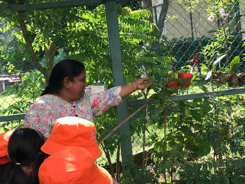 Learning Journey to Mdm Lalitha’s experiential garden — photo 4