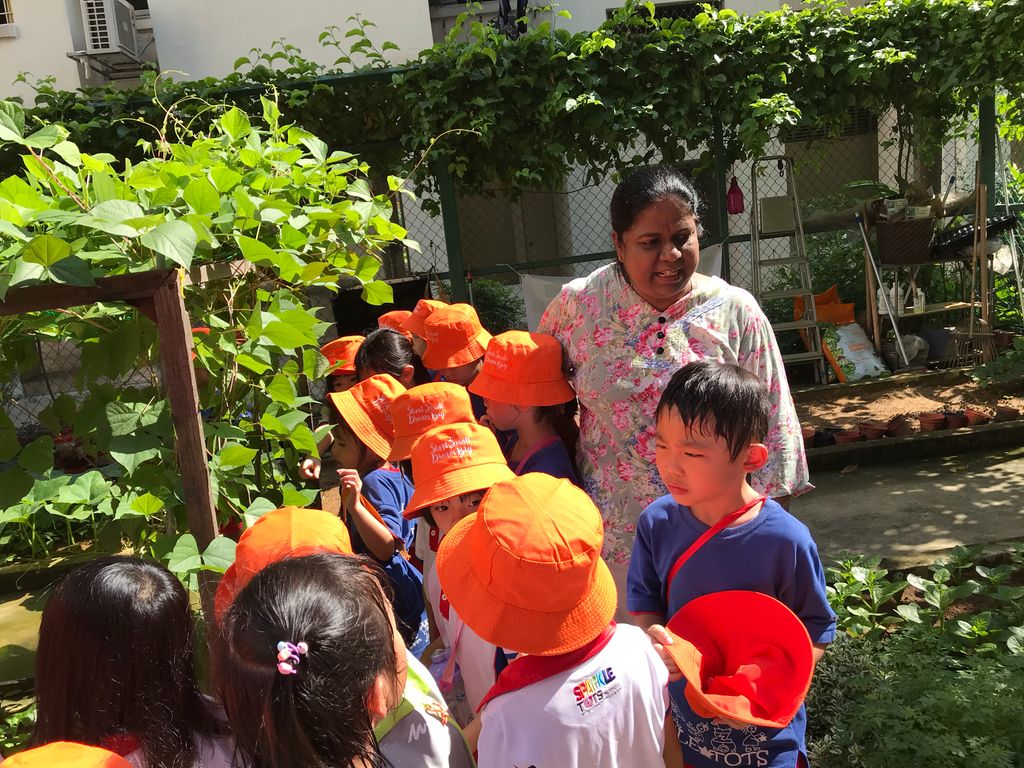 Learning Journey to Mdm Lalitha’s experiential garden — photo 5