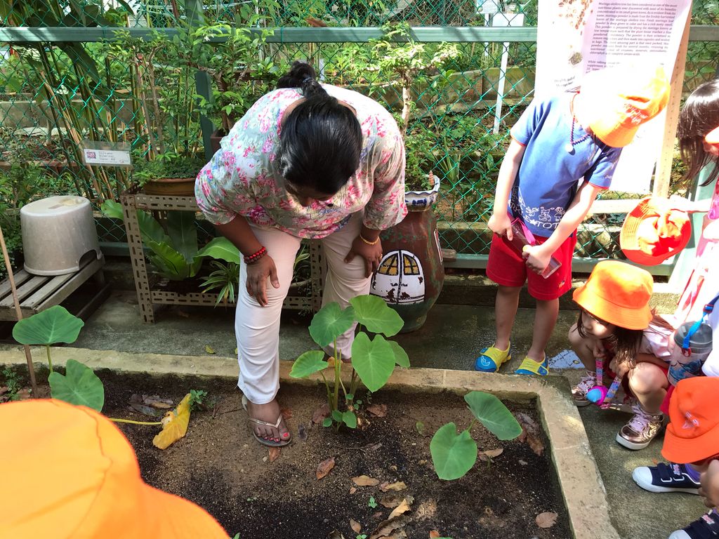 Learning Journey to Mdm Lalitha’s experiential garden — photo 6