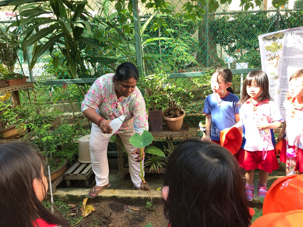 Learning Journey to Mdm Lalitha’s experiential garden — photo 7