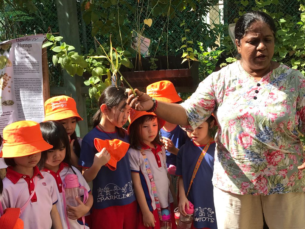 Learning Journey to Mdm Lalitha’s experiential garden — photo 8