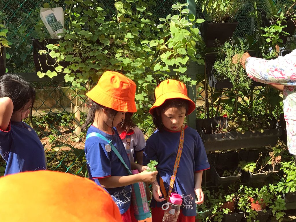 Learning Journey to Mdm Lalitha’s experiential garden — photo 9