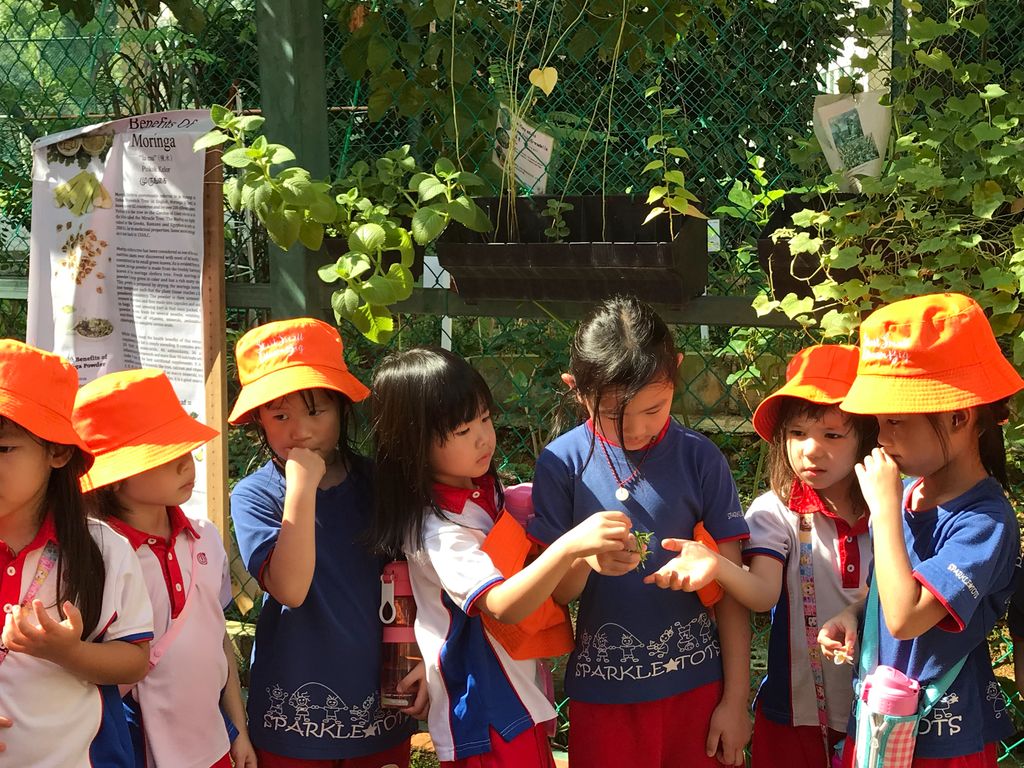 Learning Journey to Mdm Lalitha’s experiential garden — photo 10