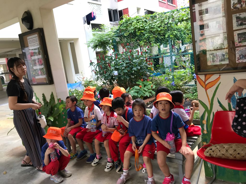 Learning Journey to Mdm Lalitha’s experiential garden — photo 1