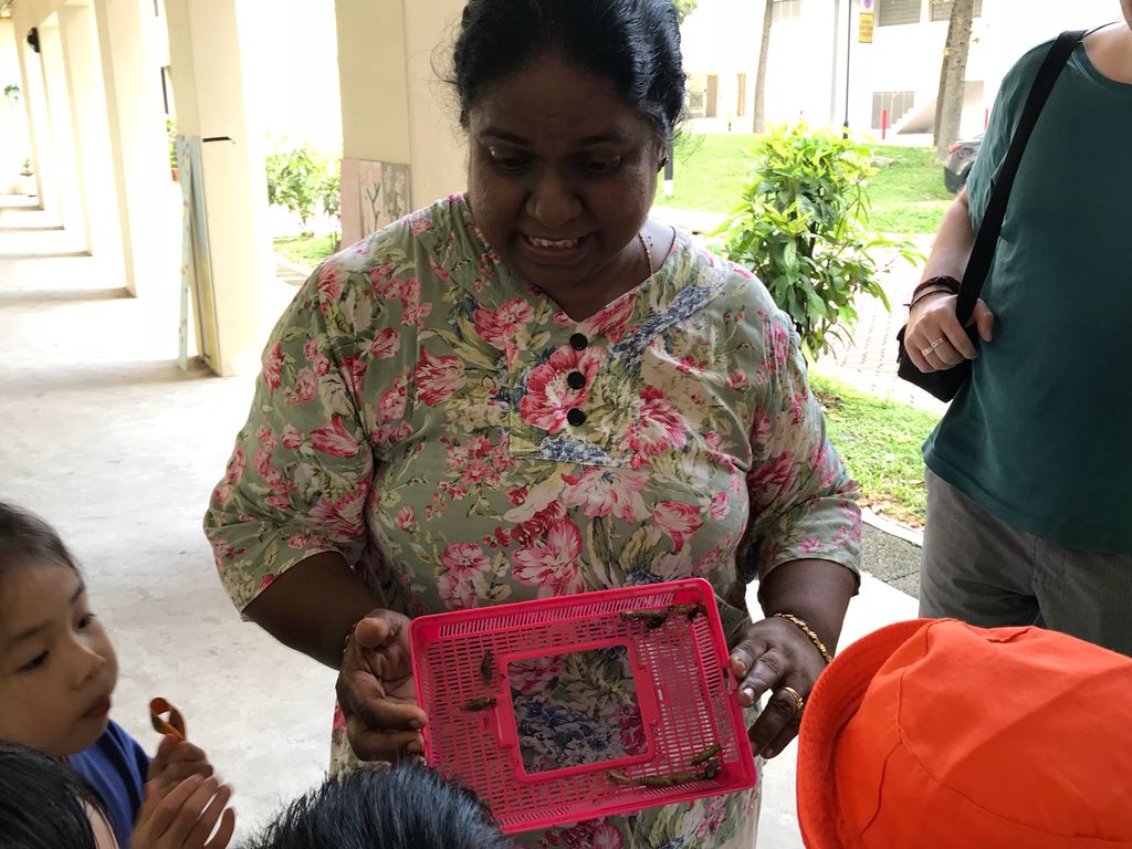 Learning Journey to Mdm Lalitha’s experiential garden — photo 2