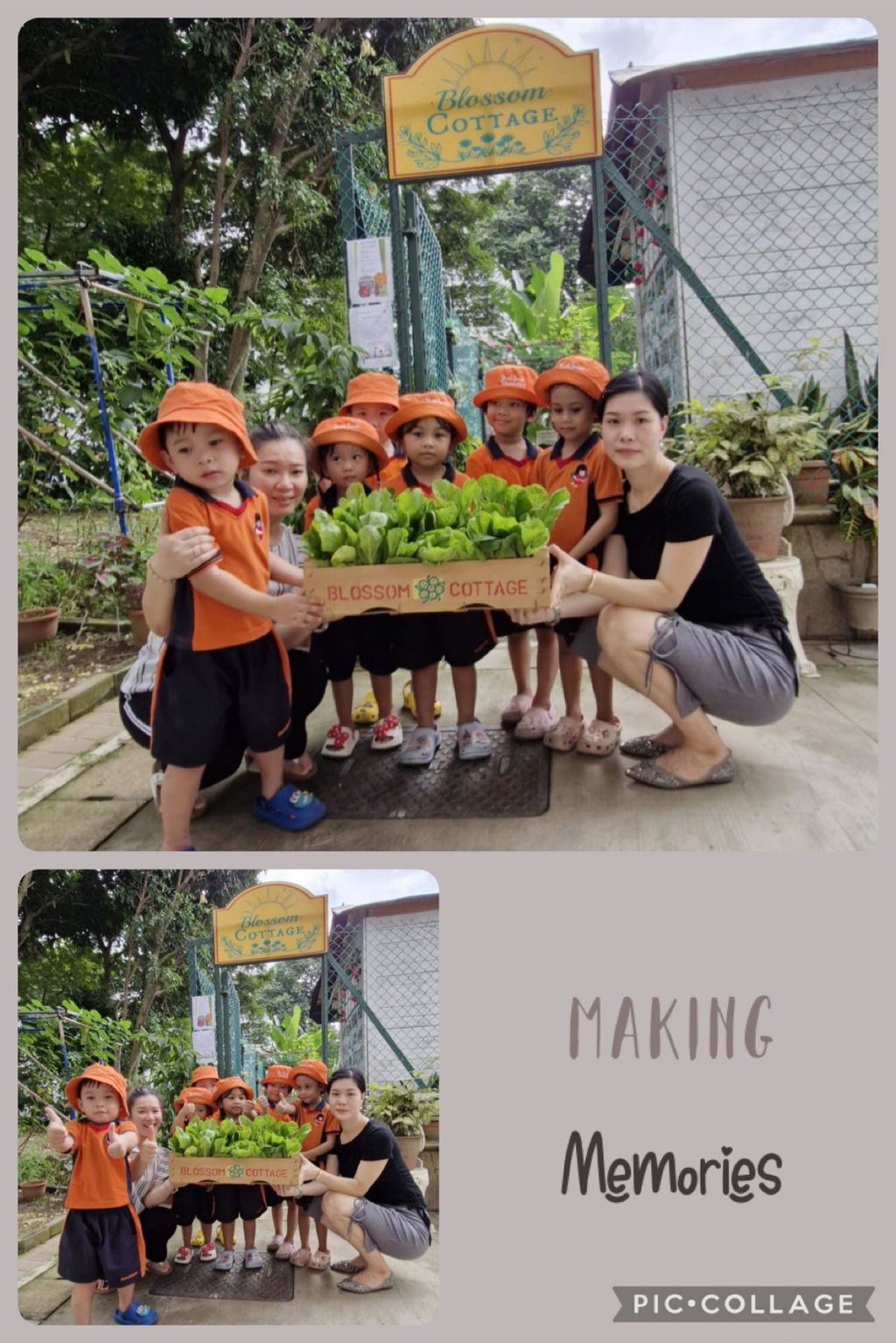 I love vegetables 🥗 🥦🥕 — photo 2