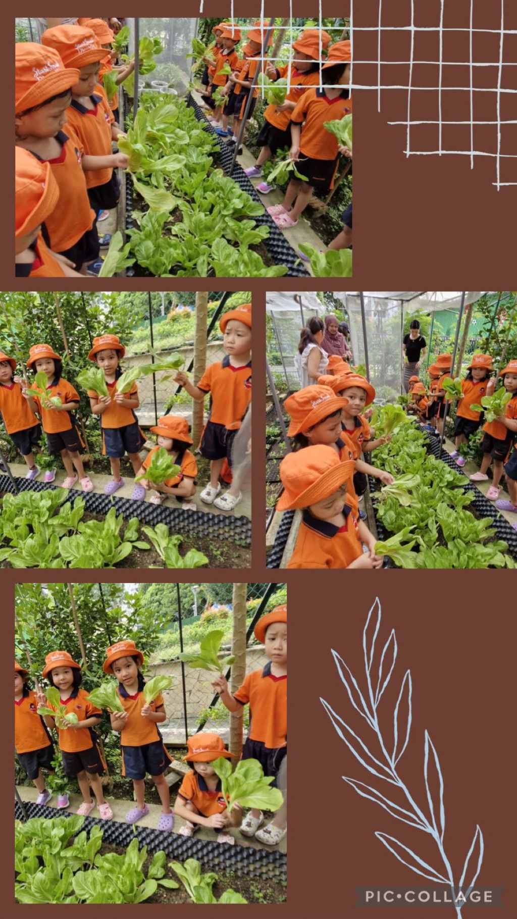 I love vegetables 🥗 🥦🥕 — photo 3