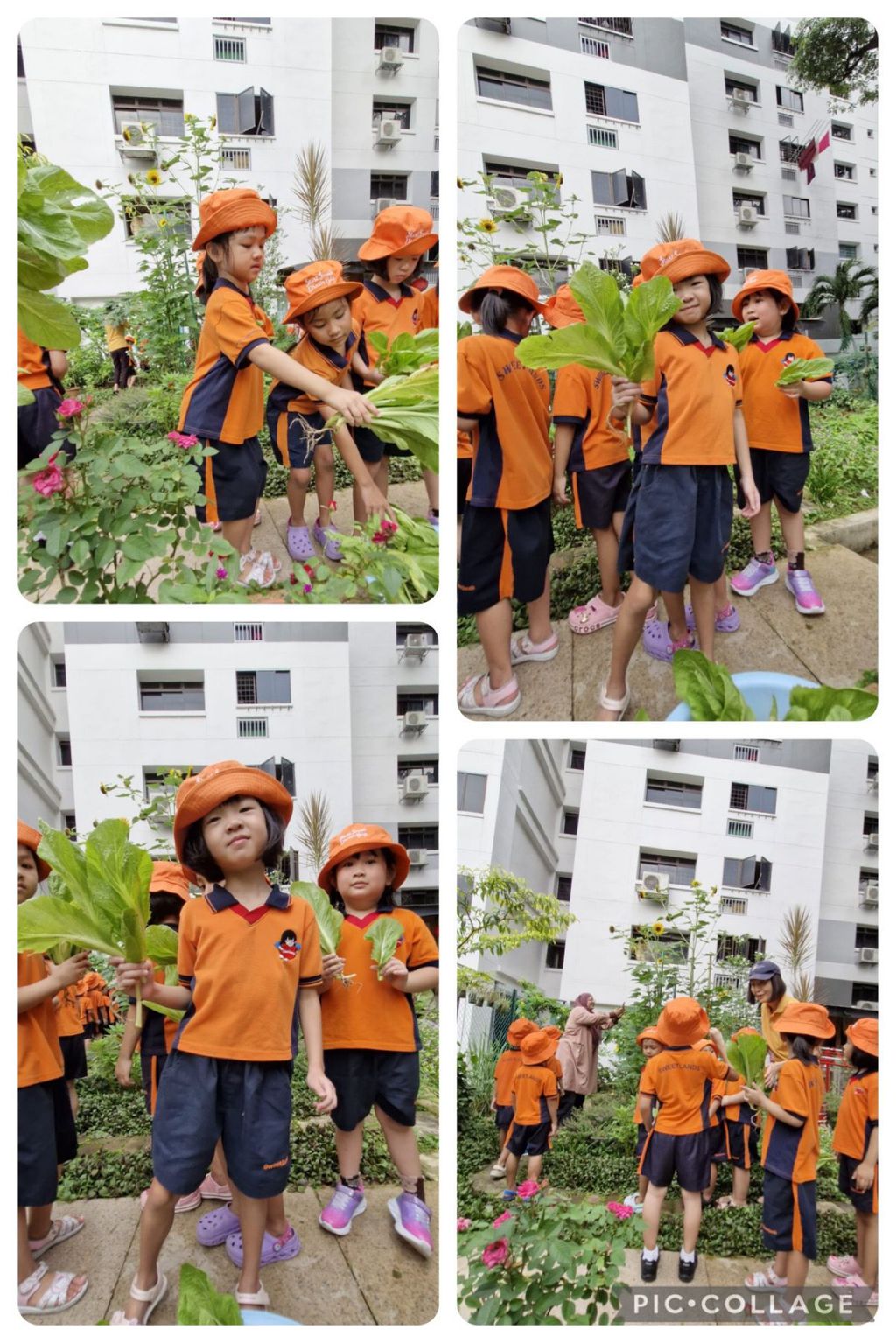 I love vegetables 🥗 🥦🥕 — photo 4