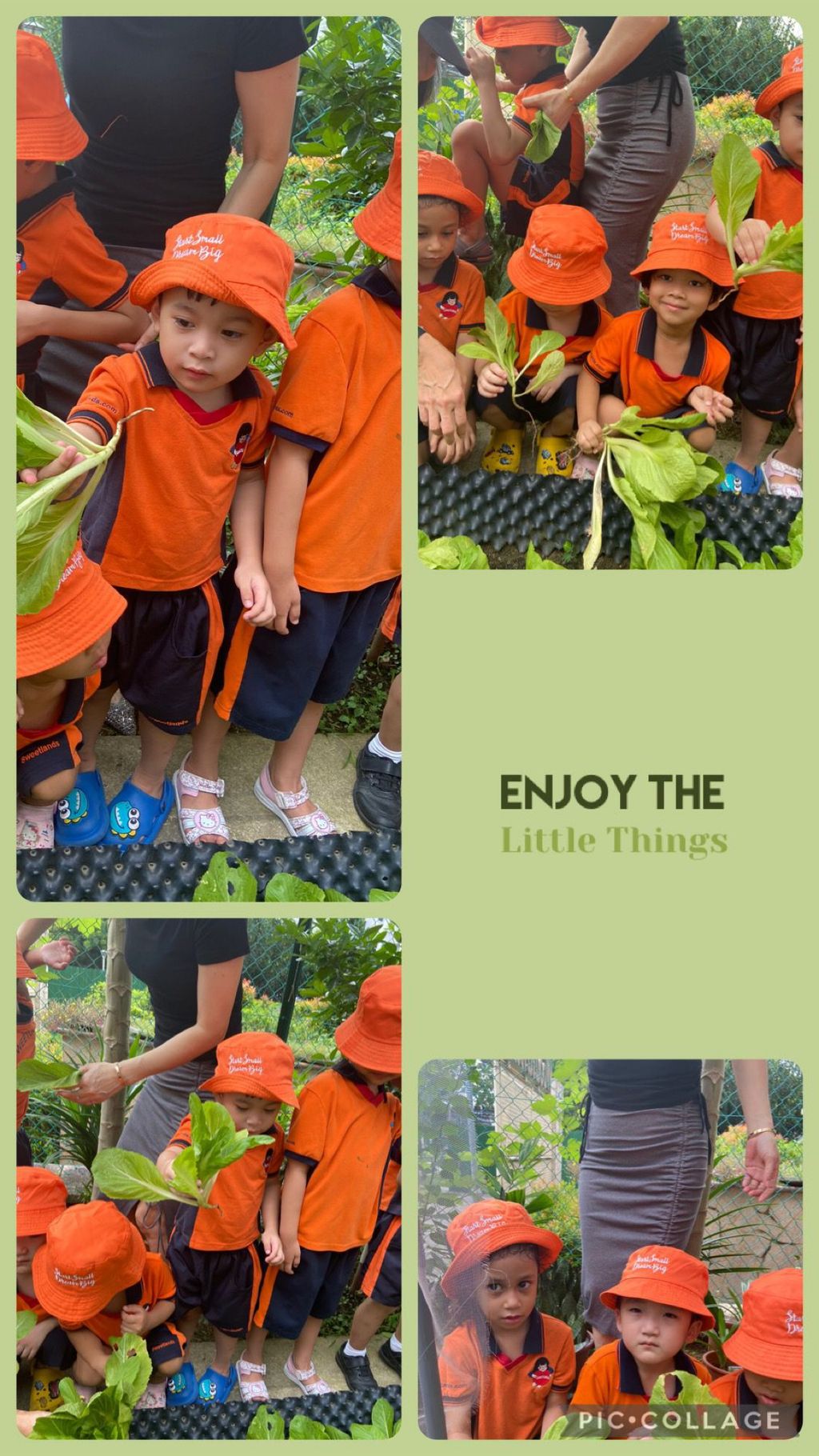 I love vegetables 🥗 🥦🥕 — photo 5
