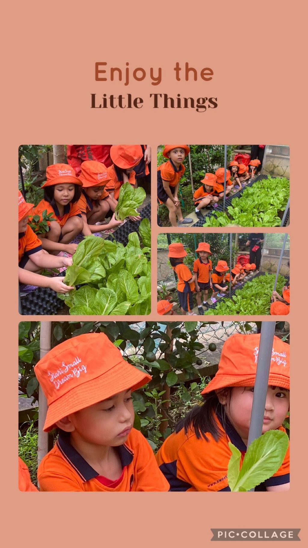 I love vegetables 🥗 🥦🥕 — photo 6