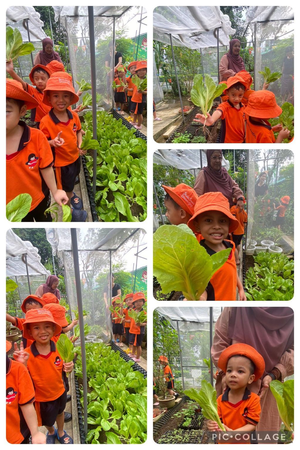 I love vegetables 🥗 🥦🥕 — photo 9