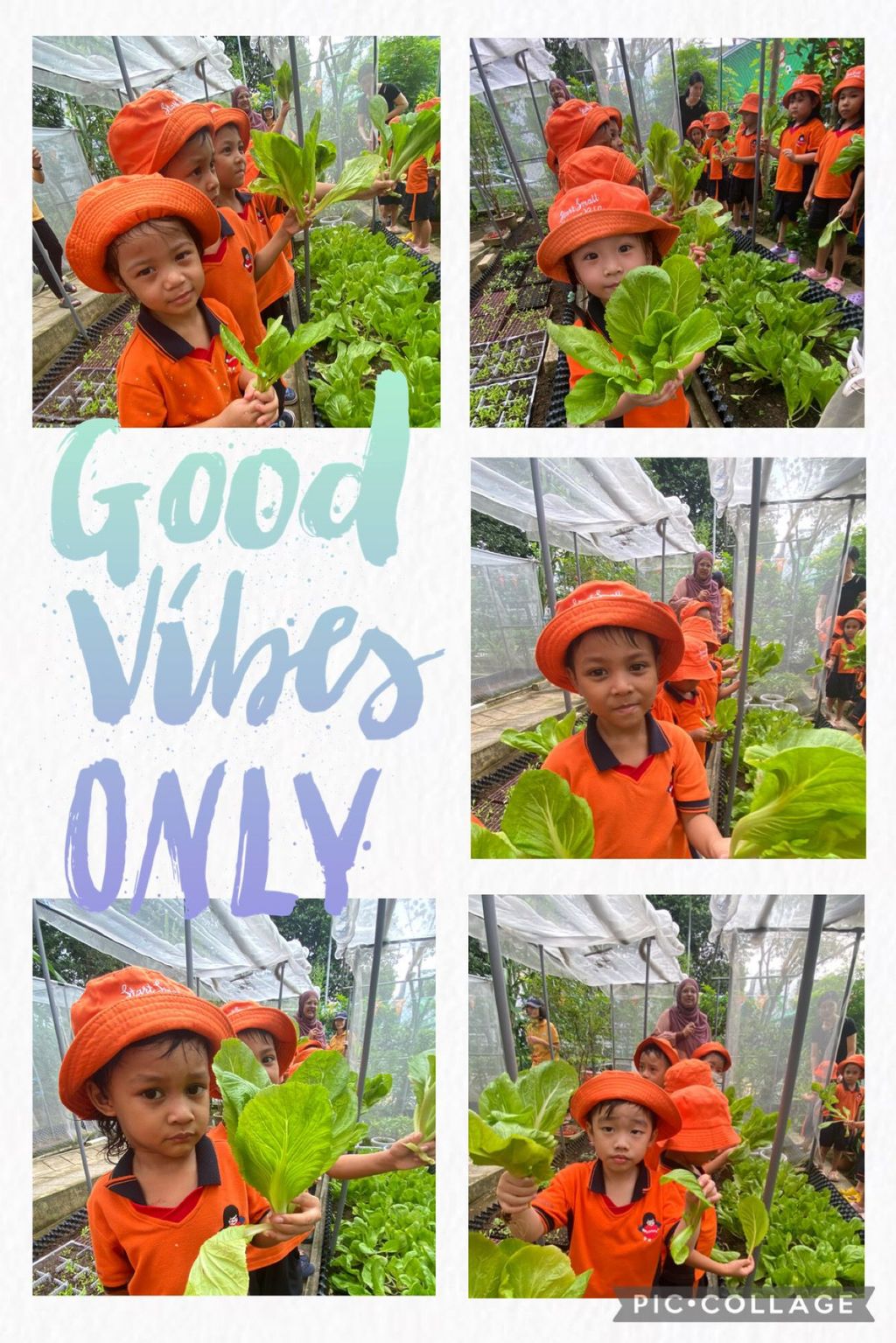 I love vegetables 🥗 🥦🥕 — photo 10