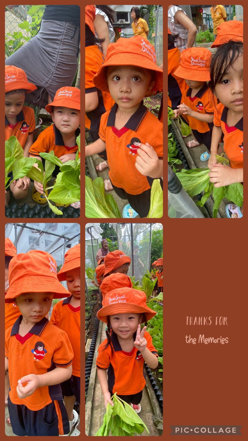 I love vegetables 🥗 🥦🥕 — photo 11