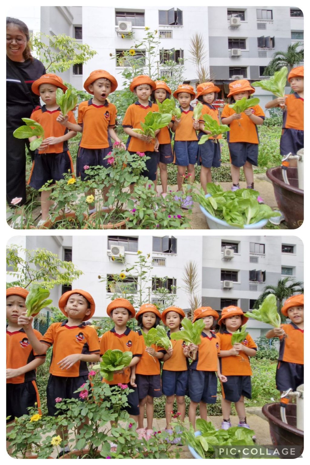 I love vegetables 🥗 🥦🥕 — photo 13