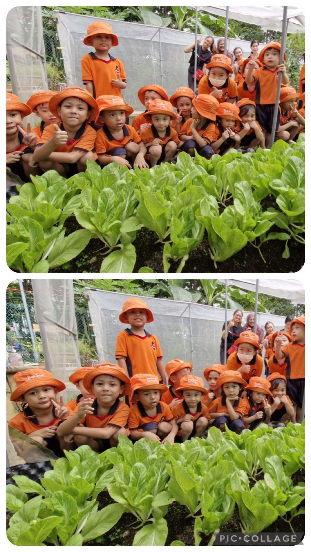 I love vegetables 🥗 🥦🥕 — photo 14