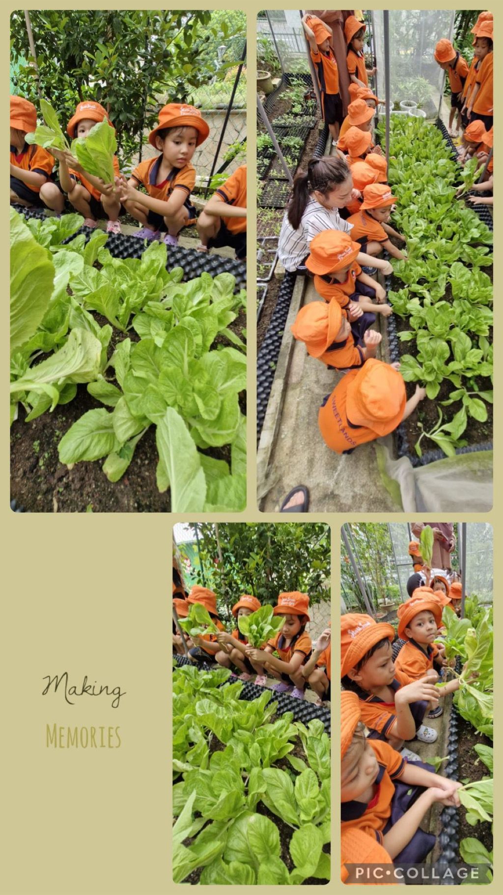 I love vegetables 🥗 🥦🥕 — photo 15