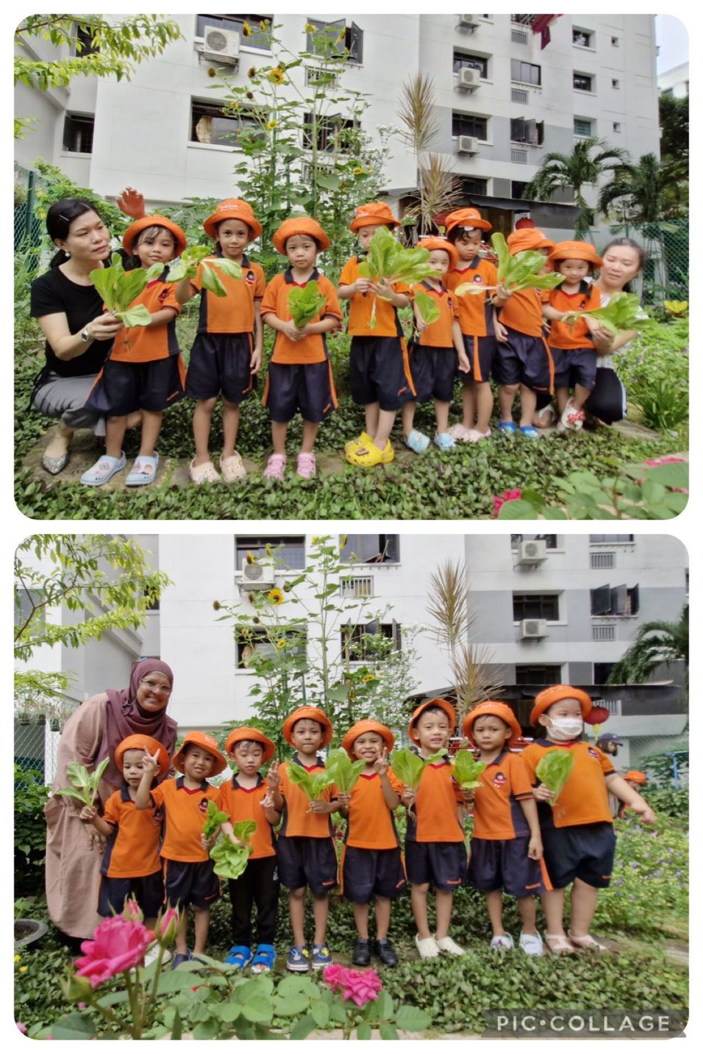 I love vegetables 🥗 🥦🥕 — photo 16