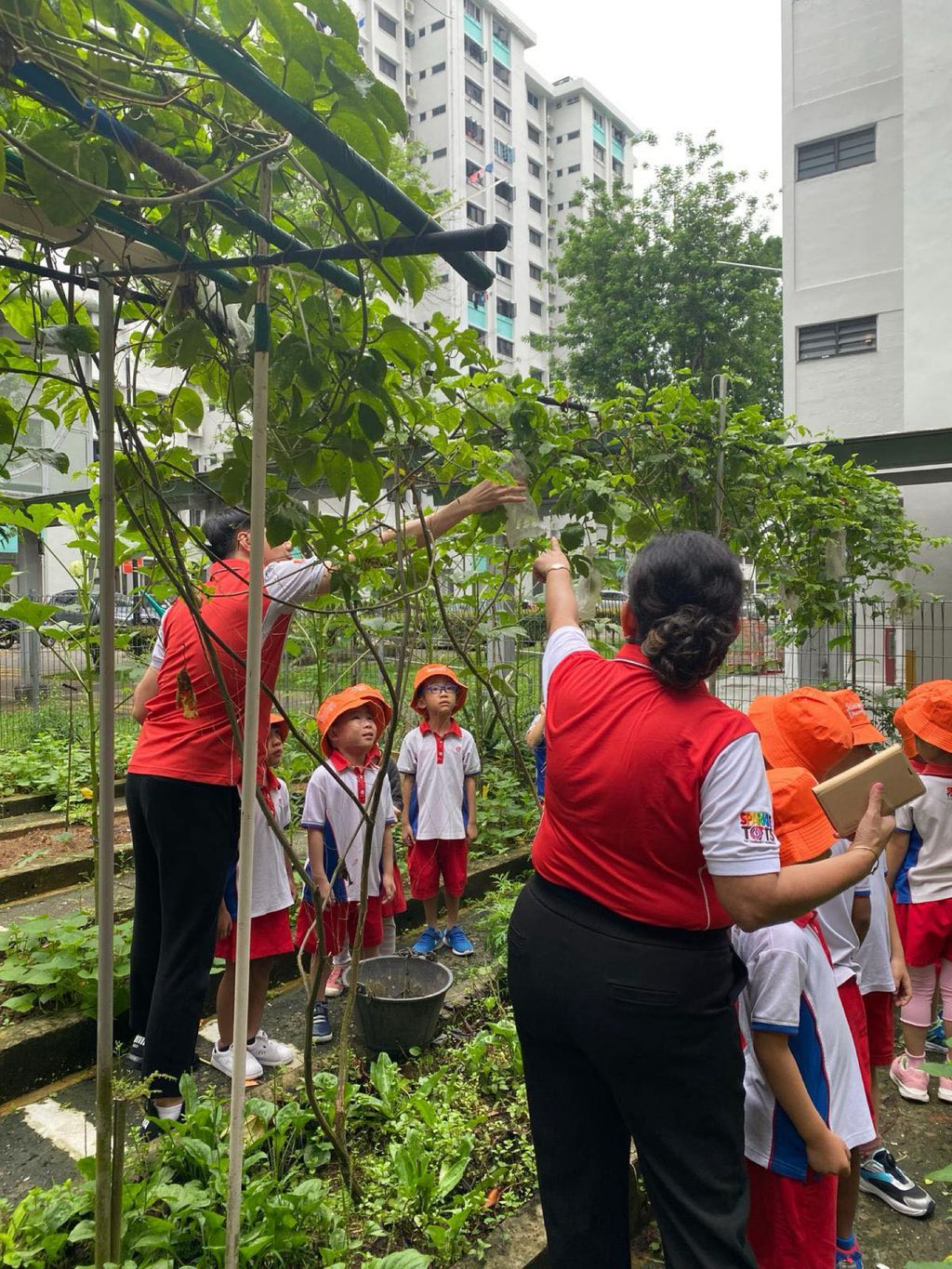 Bio-Diversity Week Green Wave #SSDB 2024 — photo 1