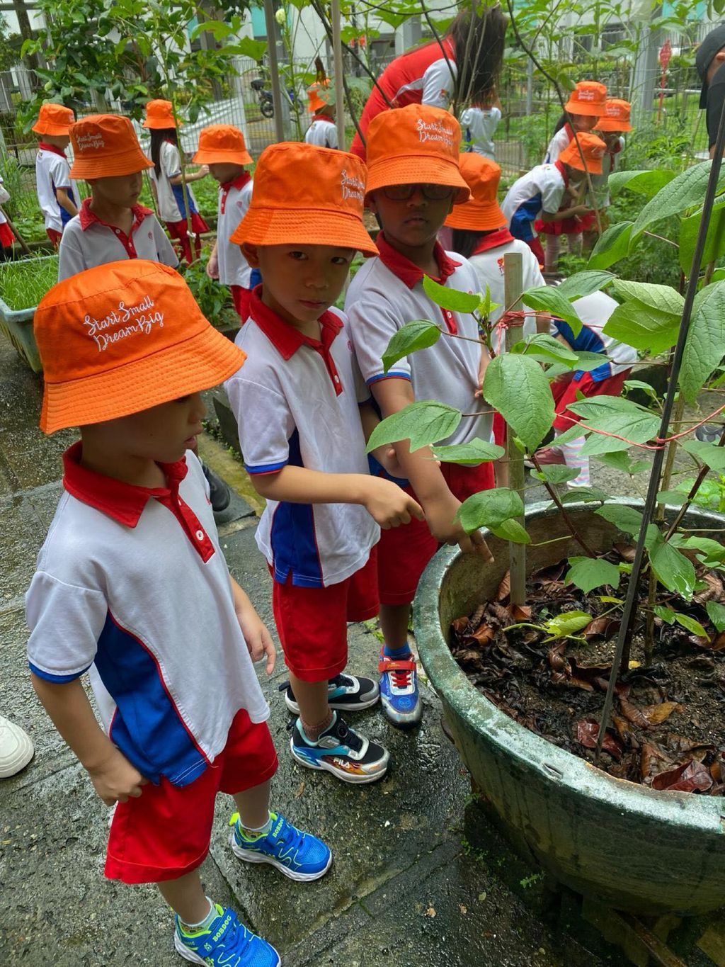 Bio-Diversity Week Green Wave #SSDB 2024 — photo 2