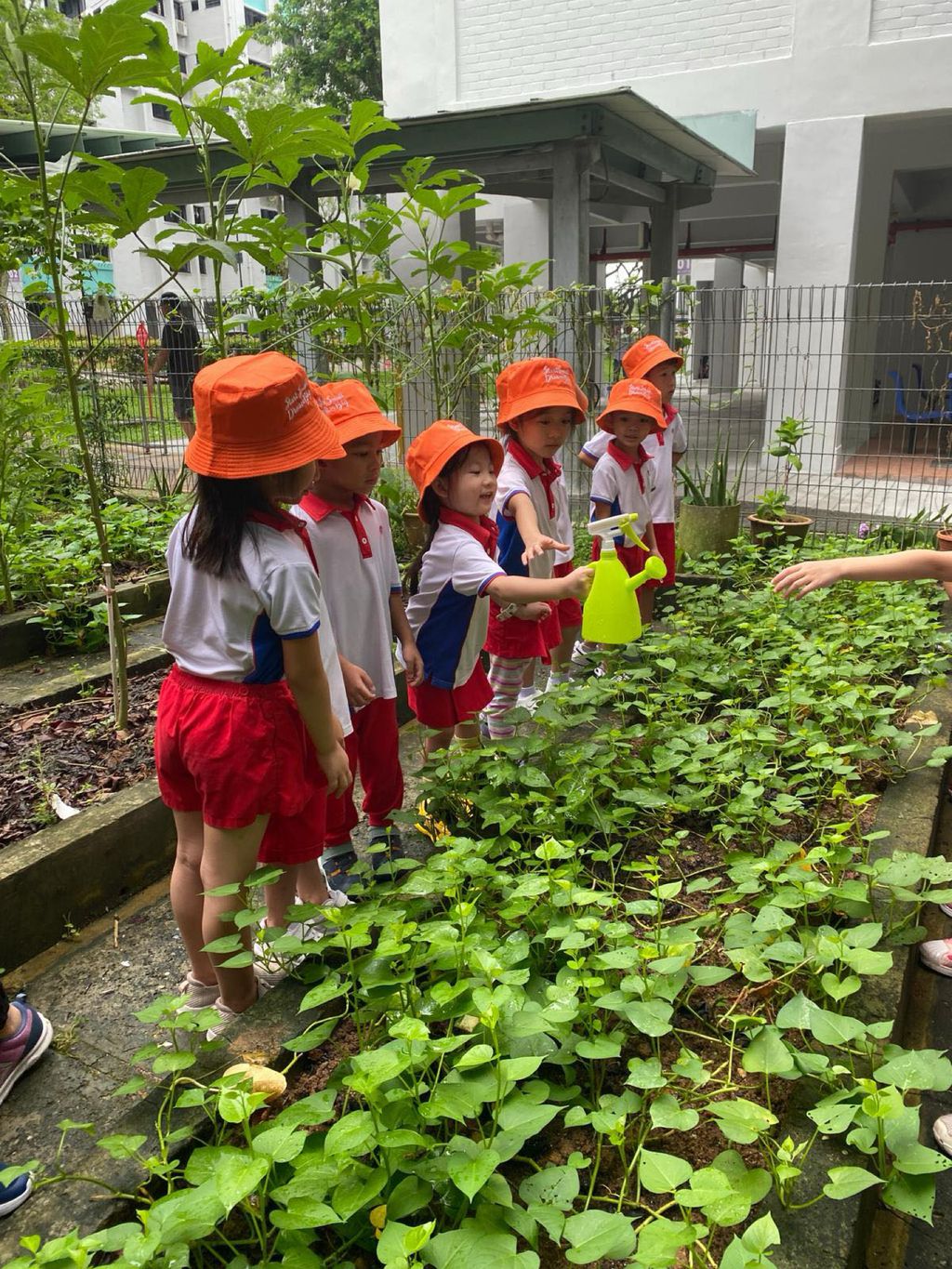 Bio-Diversity Week Green Wave #SSDB 2024 — photo 3