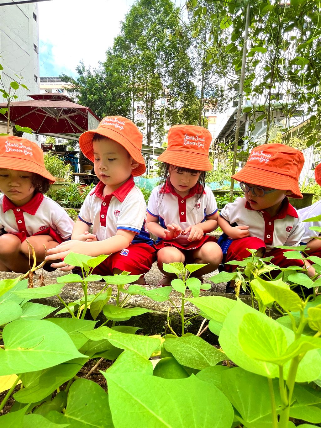 Bio-Diversity Week Green Wave #SSDB 2024 — photo 7
