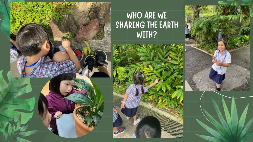 Who are we sharing this Earth with? — photo 2