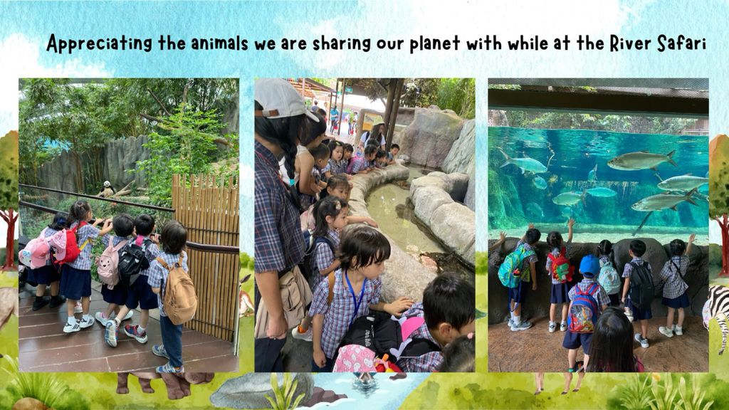 Who are we sharing this Earth with? — photo 3