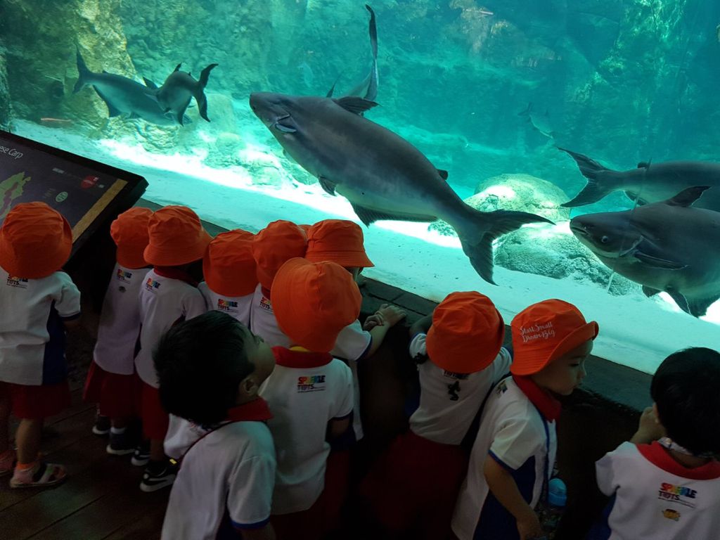 Learning Journey to River Safari - PCF Sparkletots Chong Pang @ Blk 288 — photo 4
