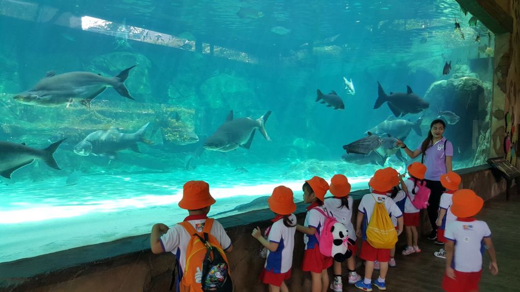 Learning Journey to River Safari - PCF Sparkletots Chong Pang @ Blk 288 — photo 6