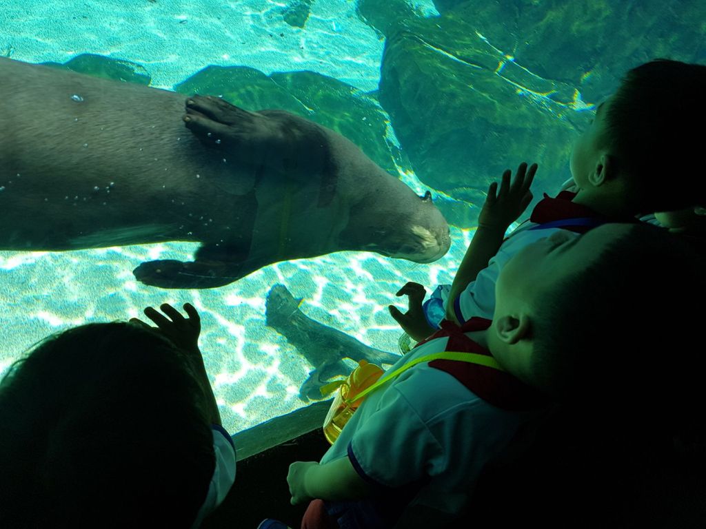 Learning Journey to River Safari - PCF Sparkletots Chong Pang @ Blk 288 — photo 9