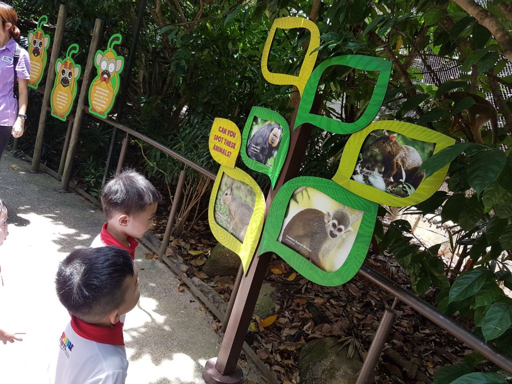 Learning Journey to River Safari - PCF Sparkletots Chong Pang @ Blk 288 — photo 11