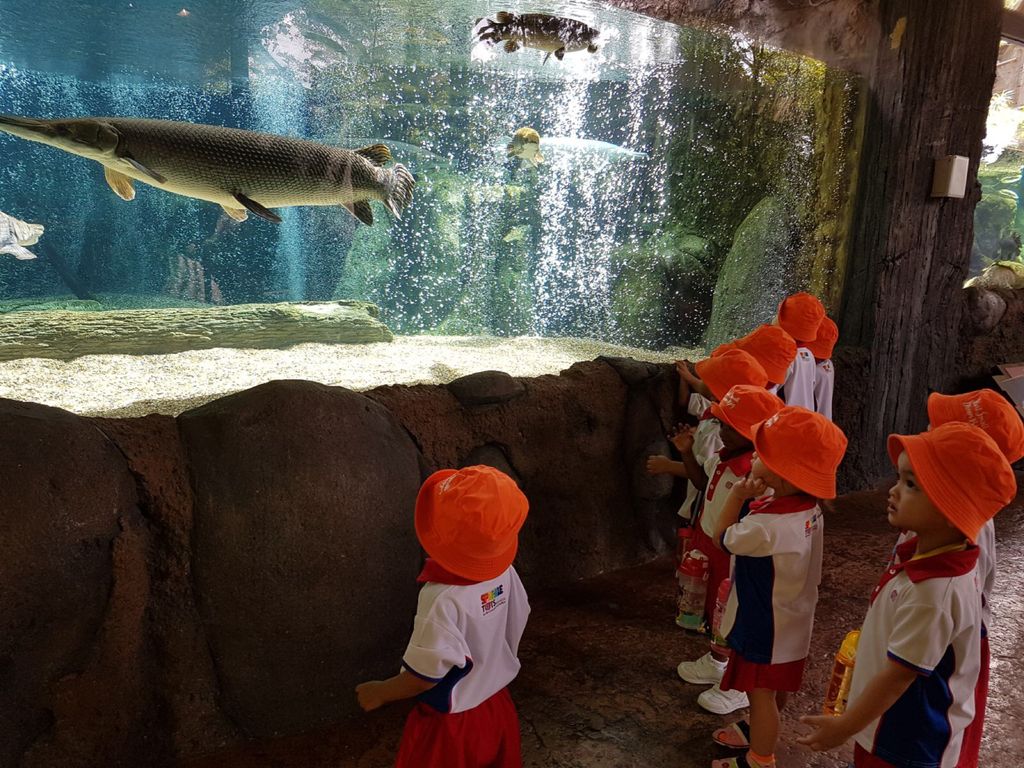 Learning Journey to River Safari - PCF Sparkletots Chong Pang @ Blk 288 — photo 12