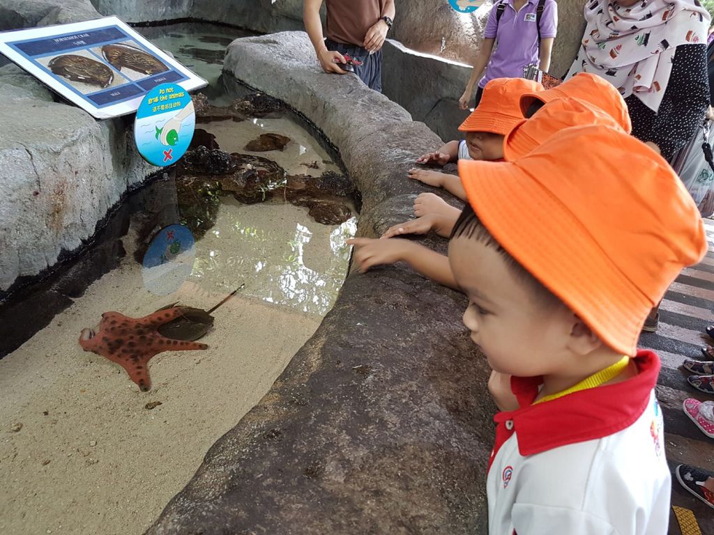 Learning Journey to River Safari - PCF Sparkletots Chong Pang @ Blk 288 — photo 13